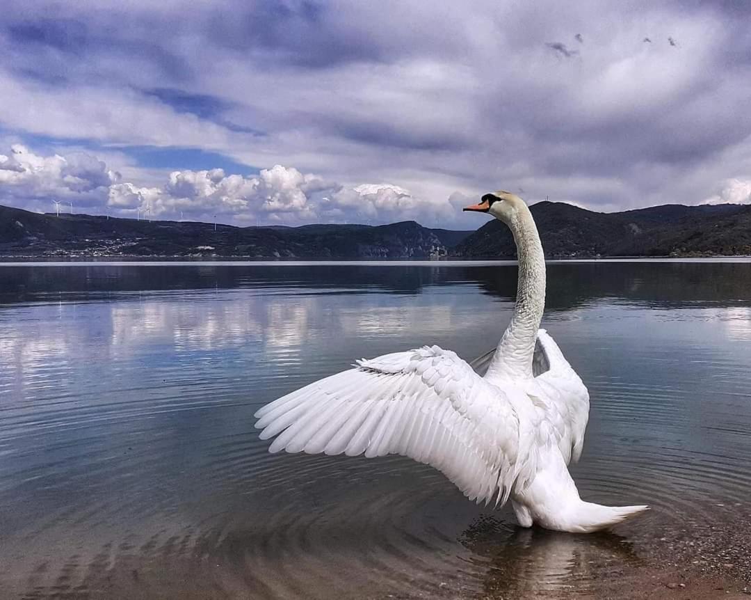 Apartman Bella Vista Golubac Zewnętrze zdjęcie