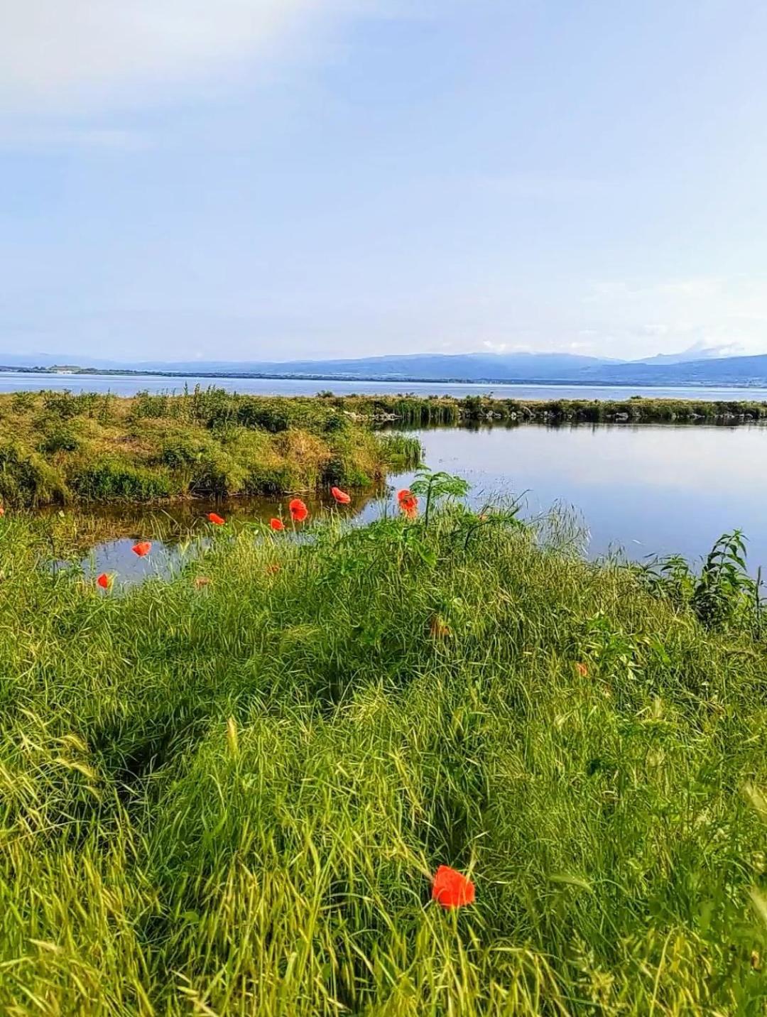 Apartman Bella Vista Golubac Zewnętrze zdjęcie