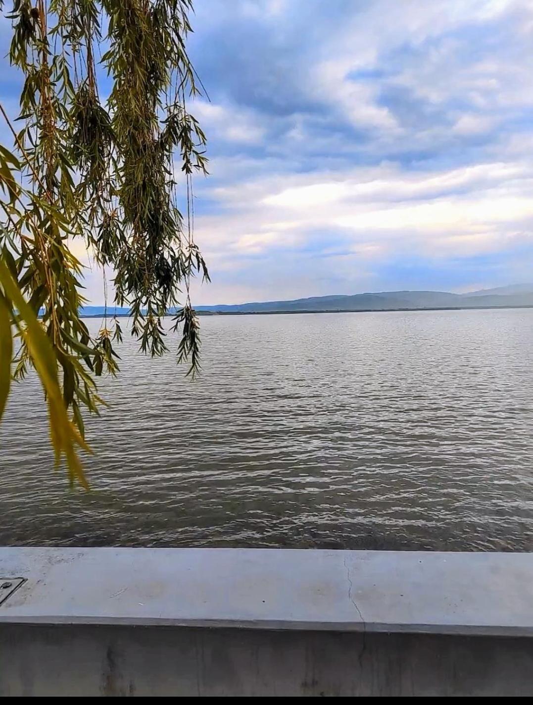 Apartman Bella Vista Golubac Zewnętrze zdjęcie